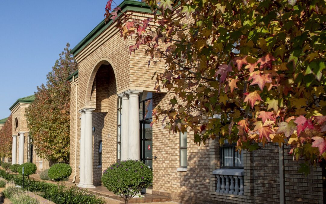 The Hidden Revenue Stream Most Entrepreneurs Ignore: Why Strategic Networking is Your Business’s Secret Weapon